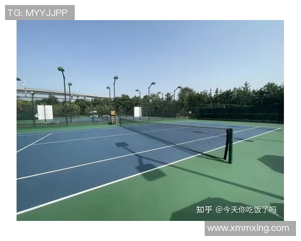 成都网球队在钻石联赛中的心理素质表现分析与启示