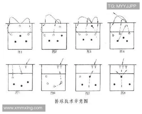 深圳排球队进攻策略分析与战术解读助力球队崛起 深圳排球队进攻策略分析与战术解读助力球队崛起